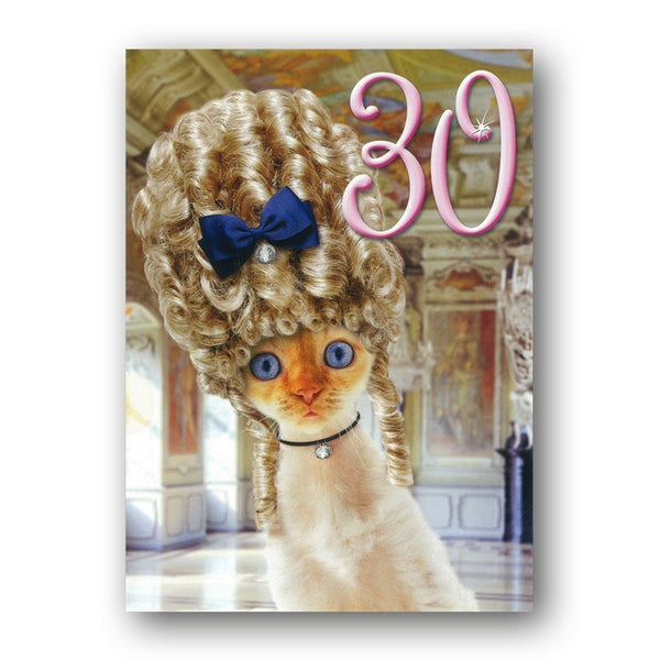 Funny Marie Antoinette Cat 30th Birthday Card by Avanti by Dormouse Cards