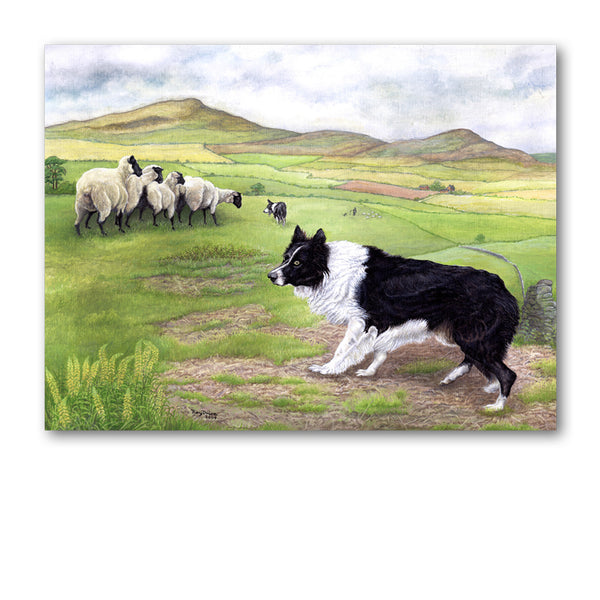 Sheepdog Greetings Card from Dormouse Cards