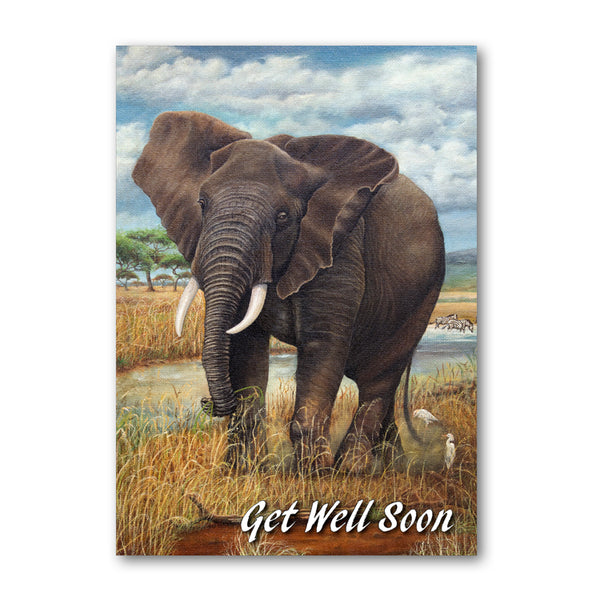 Elephant Get Well Soon Card from Dormouse Cards