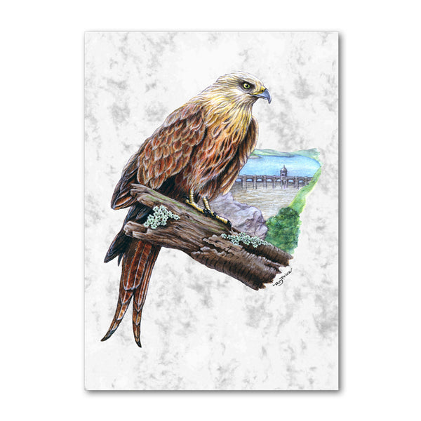 Pack of 10 Red Kite at Elan Valley Gift Tags on Marble Board from Dormouse Cards