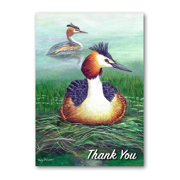 Great Crested Grebe Thank You Card from Dormouse Cards