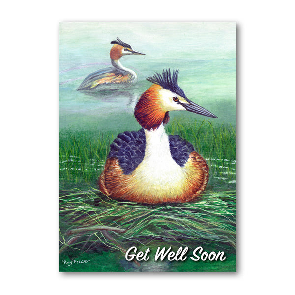 Great Crested Grebe Get Well Soon Card from Dormouse Cards