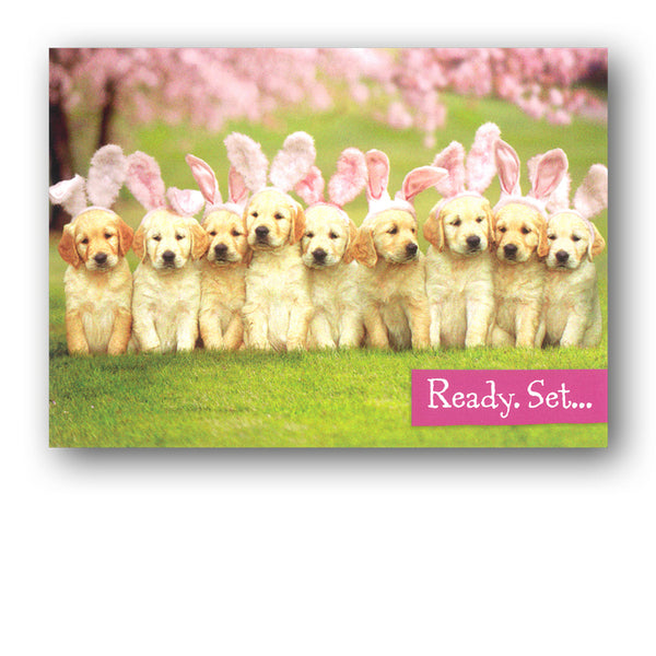 Funny Easter Card - Golden Retriever Puppies with Bunny Ears by Avanti from Dormouse Cards