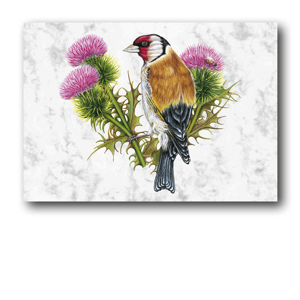 Goldfinch Marble Postcards from Dormouse Cards