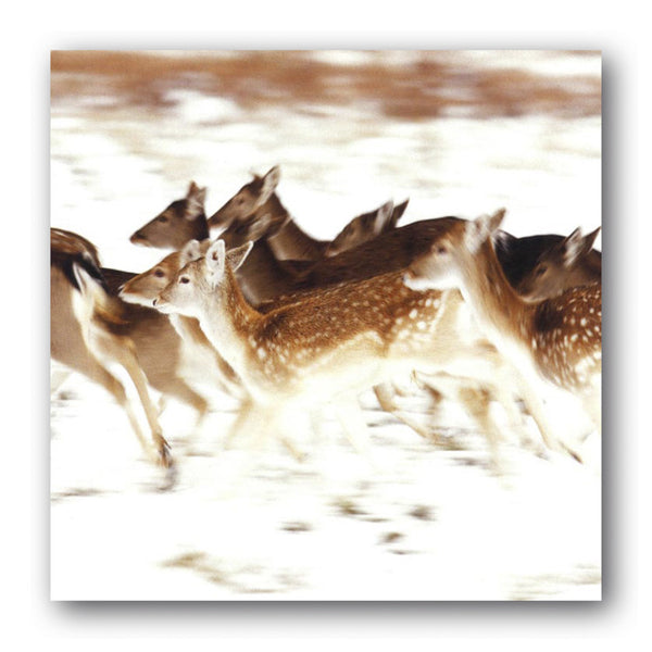 Running Deer Christmas Card from Dormouse Cards