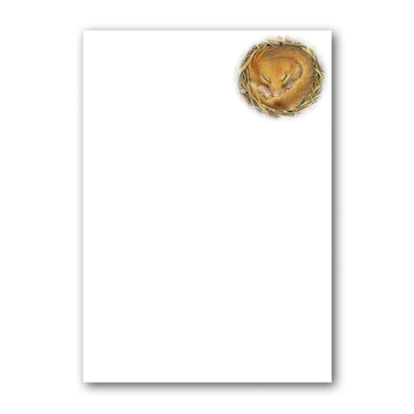 Dormouse Notepaper from Dormouse Cards