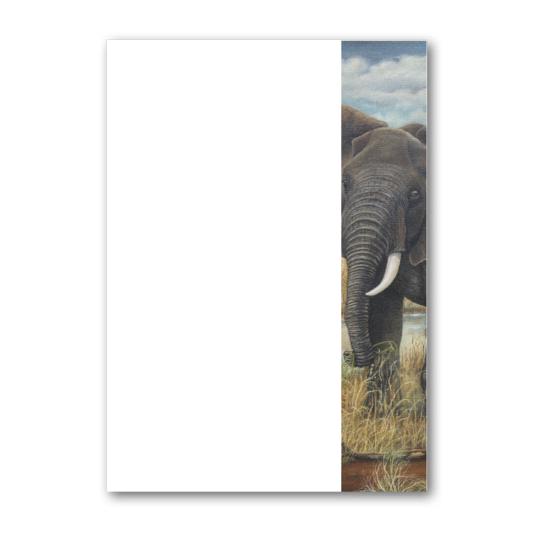 Pack of 6 Elephant Notepaper plain sheets and envelopes from Dormouse Cards