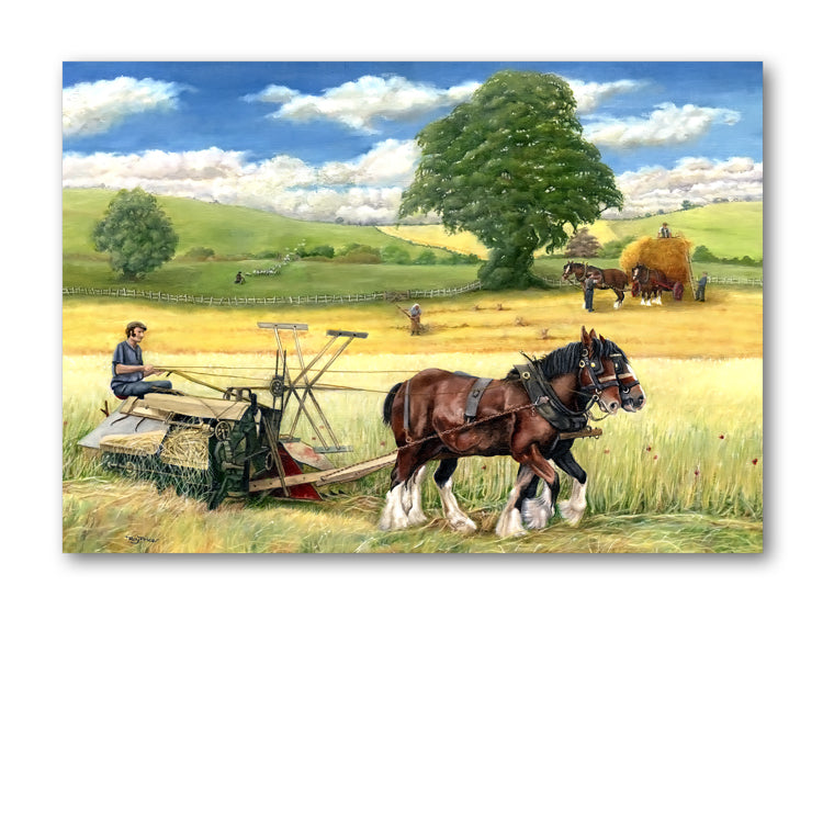 Shire Horses Harvesting Wheat Birthday Card from Dormouse Cards