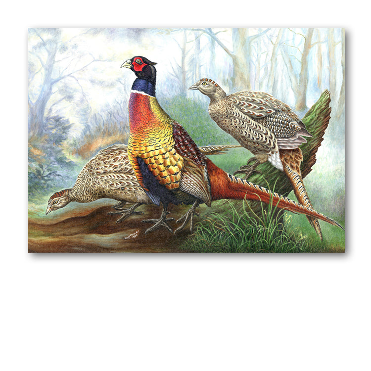 Lustre Gold Gift Wrap and Pheasant Gift Tags from Dormouse Cards