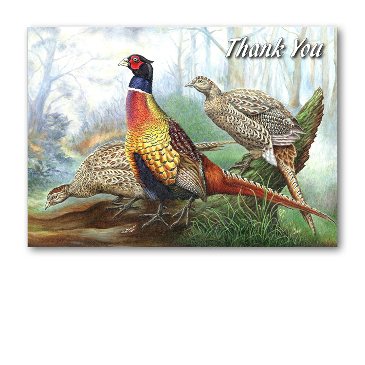 Pheasant Thank You Card from Dormouse Cards