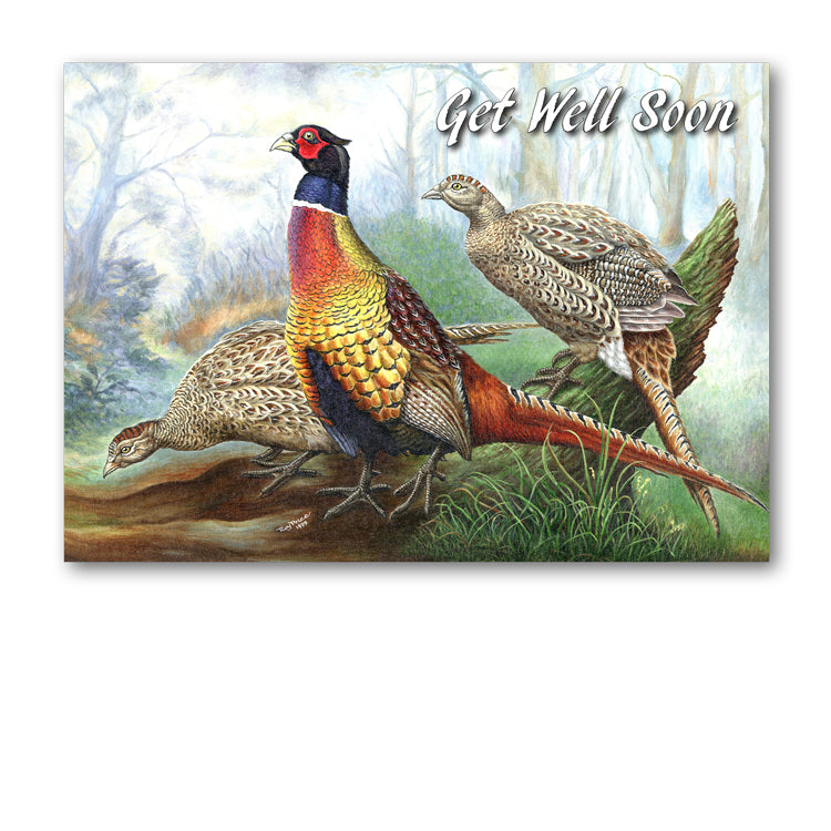 Pheasant Get Well Soon Card from Dormouse Cards