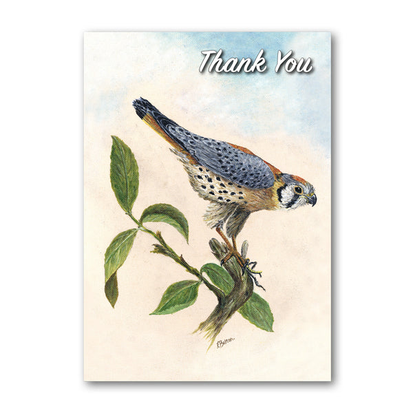 Peregrine Falcon Thank You Card from Dormouse Cards