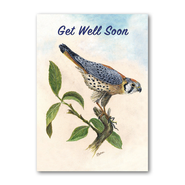 Peregrine Falcon Get Well Soon Card from Dormouse Cards