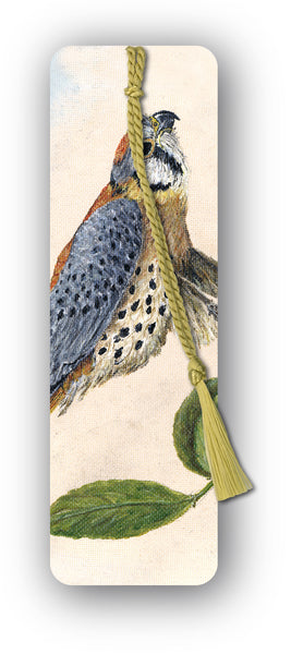 Peregrine Falcon Bookmark from Dormouse Cards