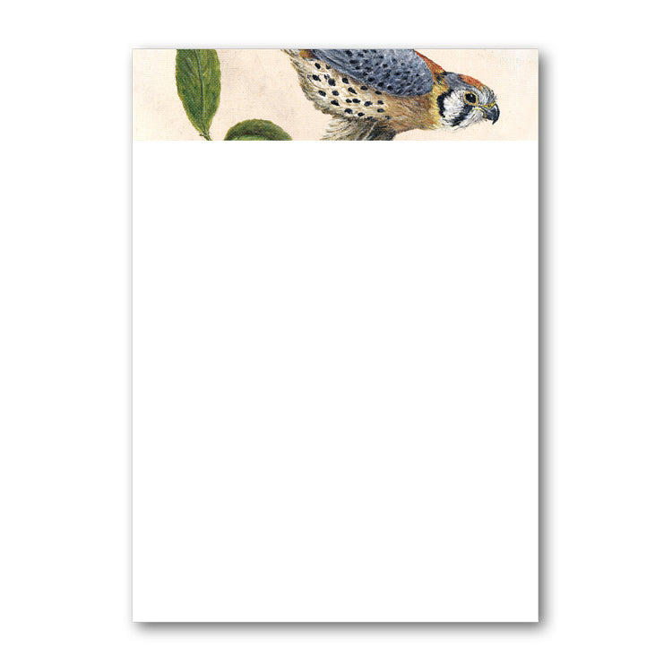 Pack of 6 A5 Peregrine Falcon Notepaper from Dormouse Cards