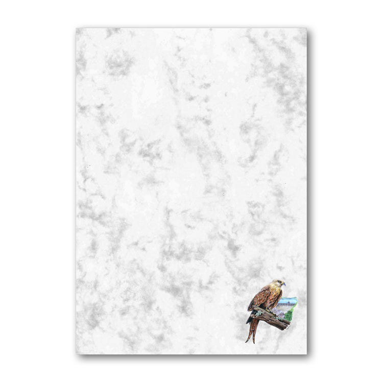 Pack of 6 A5 Red Kite Marble Notepaper from Dormouse Cards