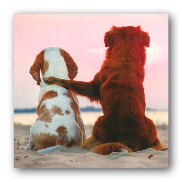 Beagle and Nova Scotia Duck Tolling Retriever Greetings or Birthday Cards from Dormouse Cards