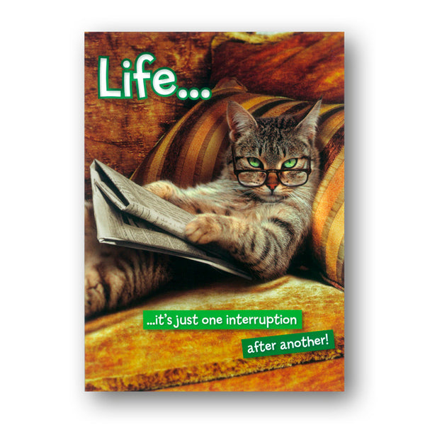 Funny Avanti Cat Relaxing Greetings Card from Dormouse Cards