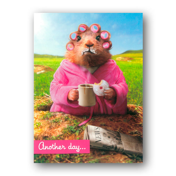 Funny Avanti Guinea Pig Eating a Doughnut Greetings Card from Dormouse Cards