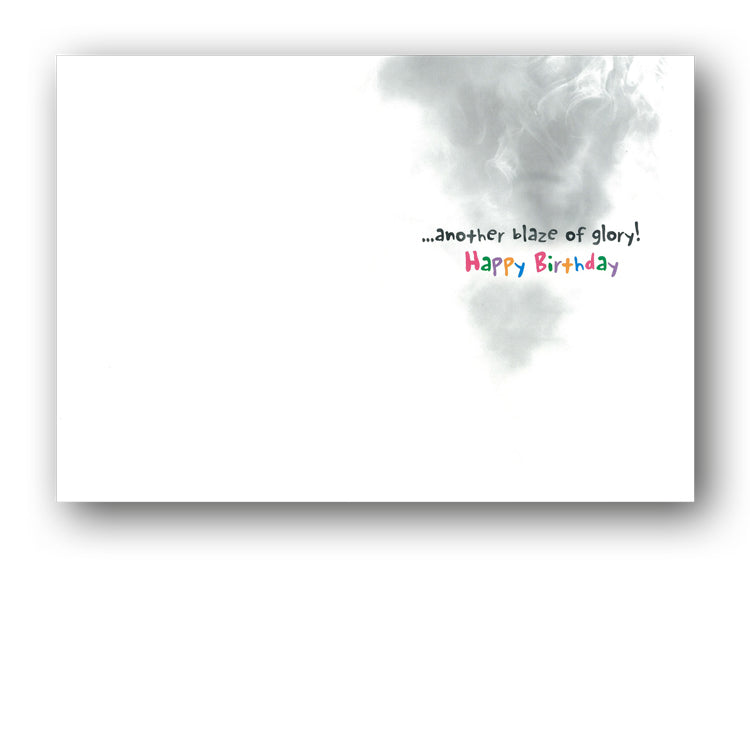 Funny Cat Birthday Card by Avanti from Dormouse Cards