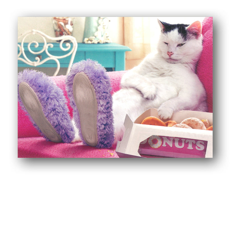 Funny Cat Eating Doughnuts Birthday Card by Avanti from Dormouse Cards