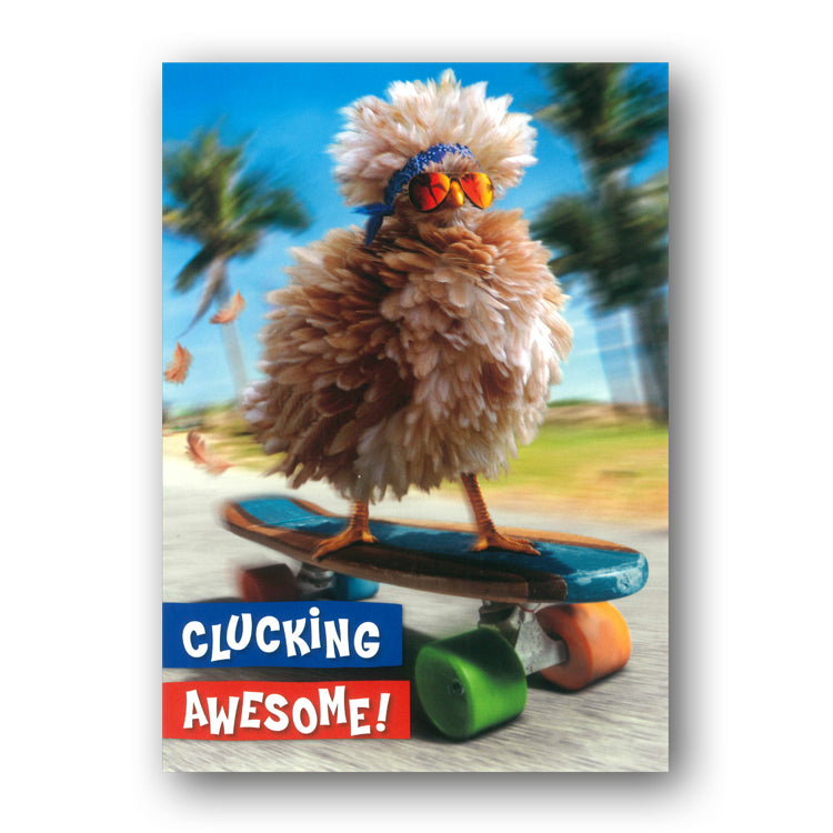 Funny Chicken on a Skateboard Birthday Card by Avanti from Dormouse Cards