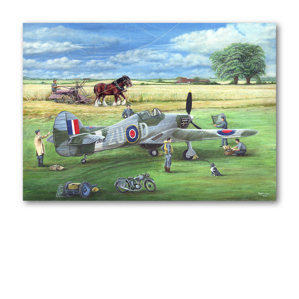 Pack of 10 Hurricane Gift Tags from Dormouse Cards