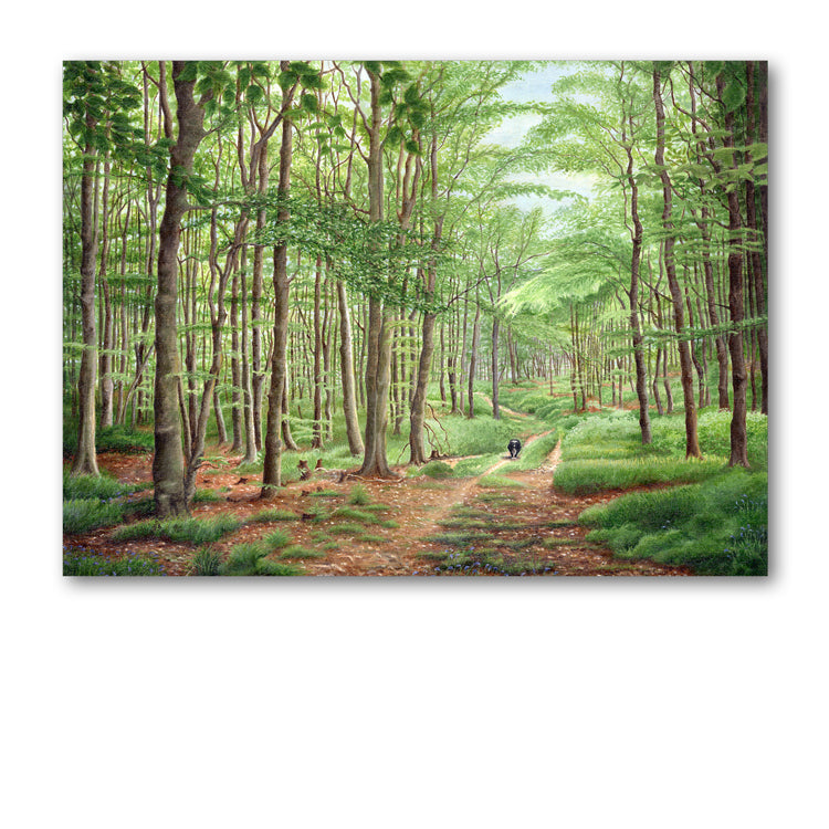 Pack of 5 Sheepdog Border Collie running in Forest Notelets from Dormouse Cards