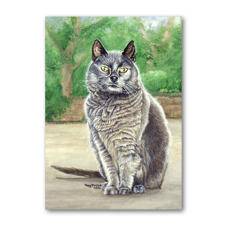Suzy the Grey Cat Father's Day Card from Dormouse Cards