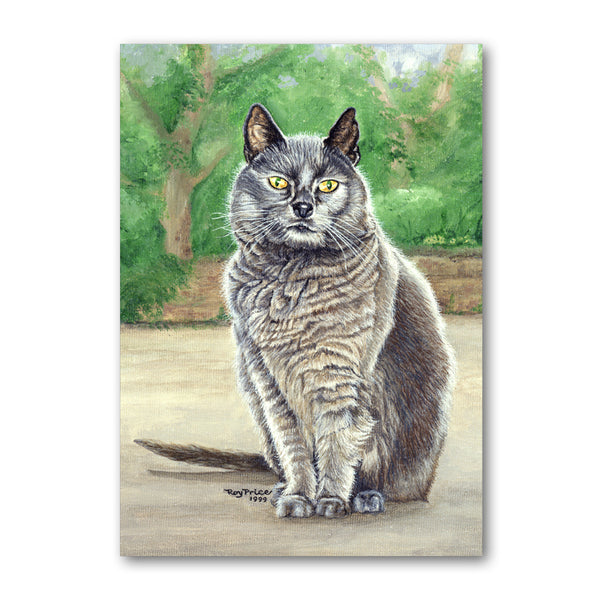 Suzy the Grey Cat Birthday Card from Dormouse Cards
