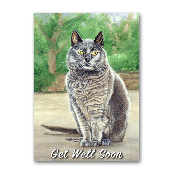 Suzy the Grey Cat Get Well Soon Card from Dormouse Cards