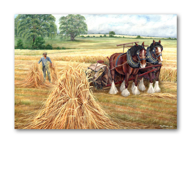 Harvest Time Greetings Card from Dormouse Cards