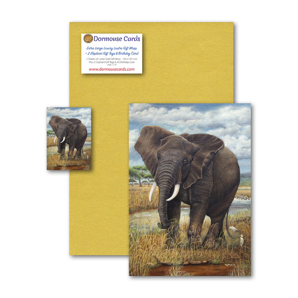 Elephant Birthday Card Gift Tags and Gold Gift Wrap from Dormouse Cards