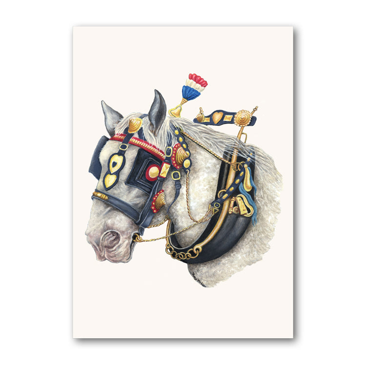 Pack of 5 Shire Horse Notelets from Dormouse Cards
