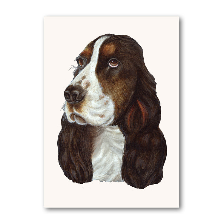 Cocker Spaniel Greetings Card from Dormouse Cards