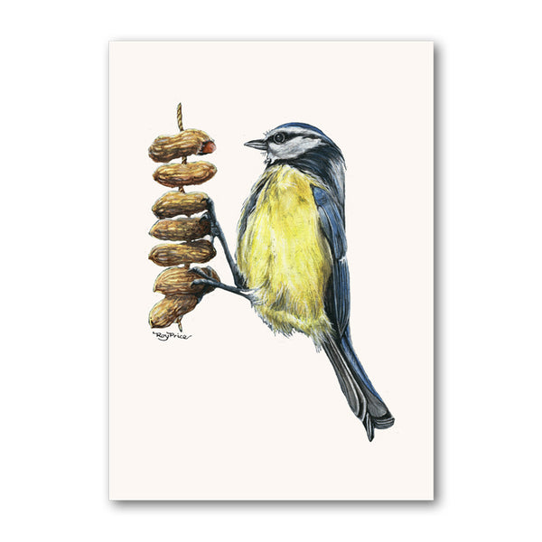 Blue Tit Perching on Peanuts Birthday Card from Dormouse Cards