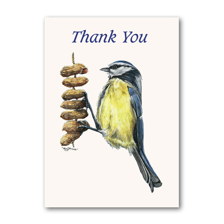 Blue Tit Perched on Peanuts from Dormouse Cards