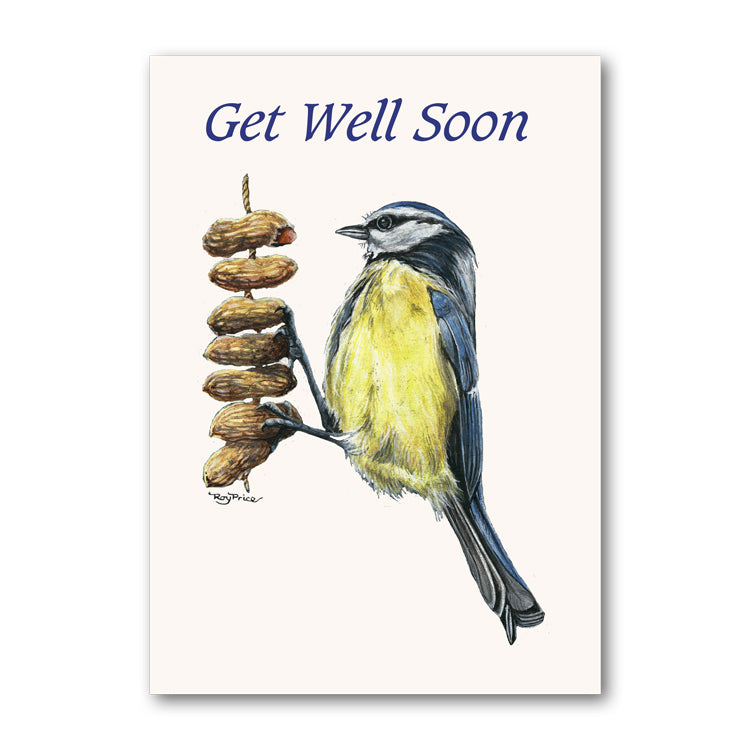 Blue Tit Perched on Peanuts Get Well Soon Card from Dormouse Cards