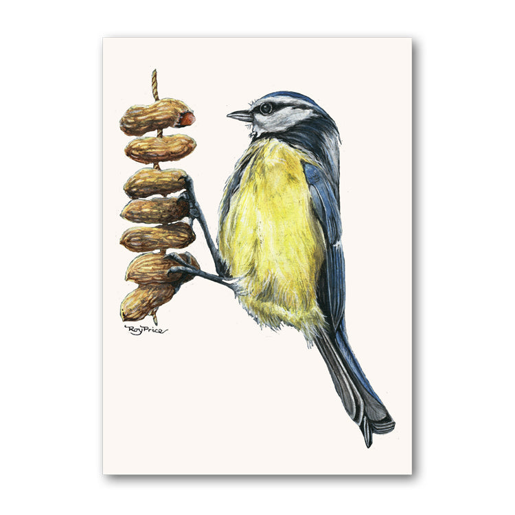 Pack of 10 Blue Tit Perched on Peanuts Gift Tags from Dormouse Cards