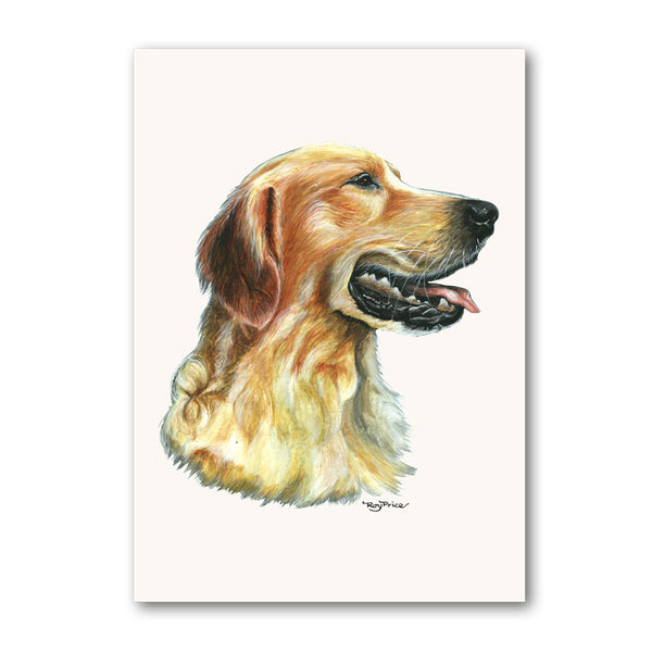 Pack of 5 Golden Retriever Notelets from Dormouse Cards