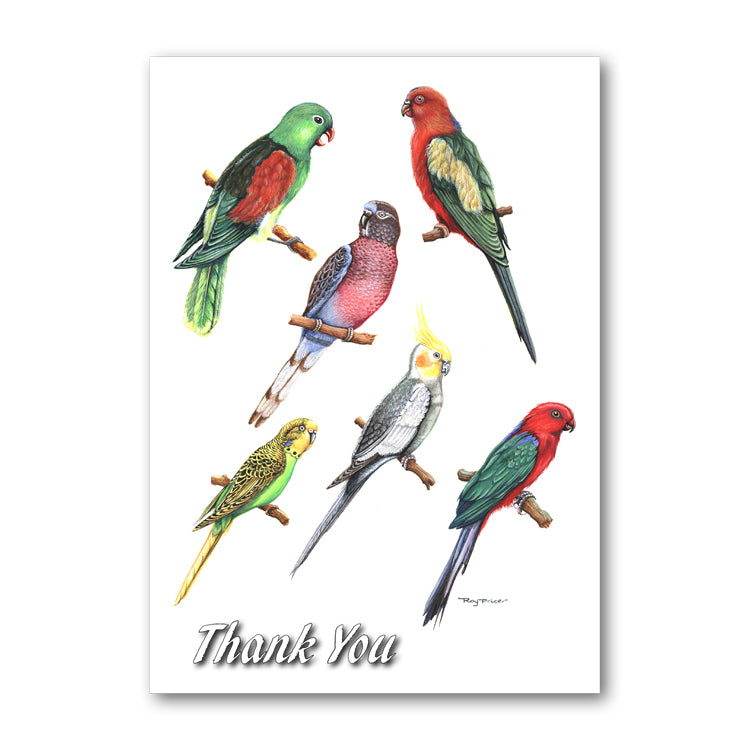 Exotic Birds Thank You Card from Dormouse Cards