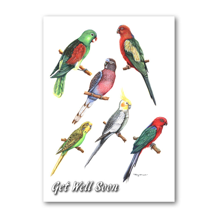 Exotic Birds Get Well Soon Card from Dormouse Cards