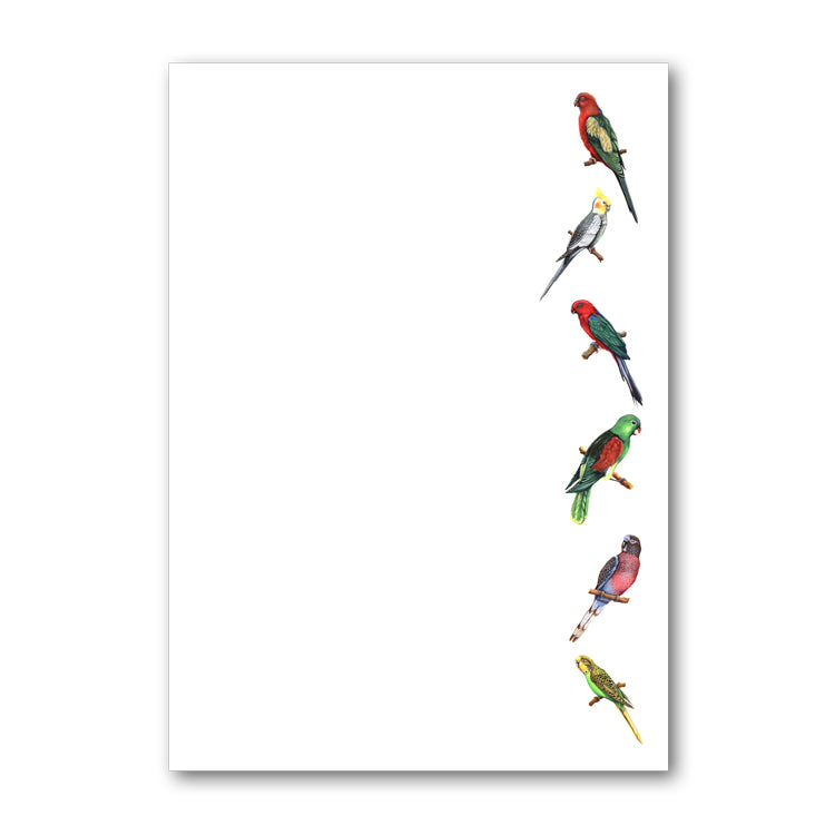 Pack of 6 A5 Notepaper Exotic Birds from Dormouse Cards