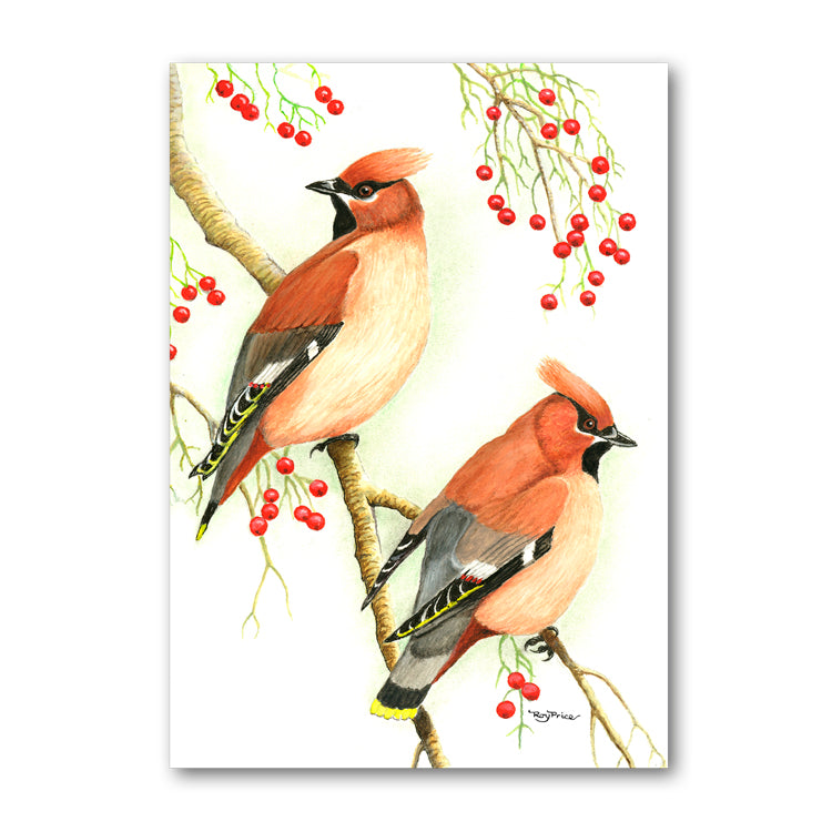 Lustre Mint Green Wrap 2 Cedar Waxwing Gift Tags and Birthday Card from Dormouse Cards