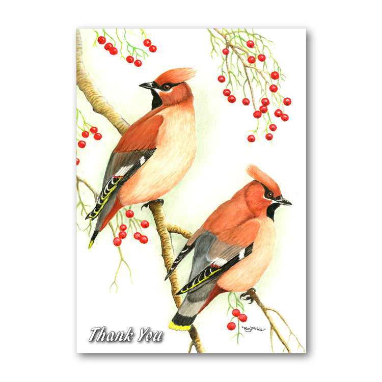 Cedar Waxwing Thank You Card from Dormouse Cards