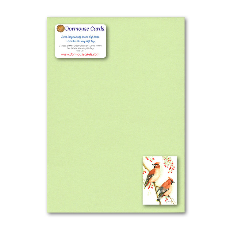 Lustre Mint Green Wrap and Cedar Waxwing Gift Tags from Dormouse Cards