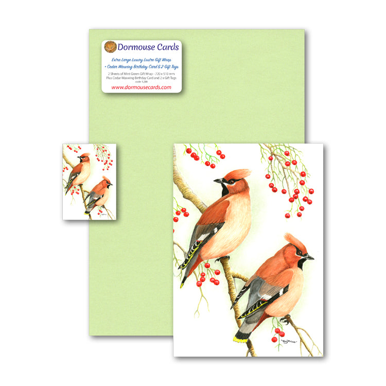 Lustre Mint Green Wrap 2 Cedar Waxwing Gift Tags and Birthday Card from Dormouse Cards