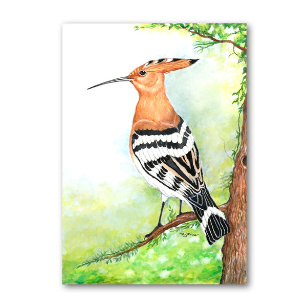 Pack of 5 Hoopoe Notelets from Dormouse Cards