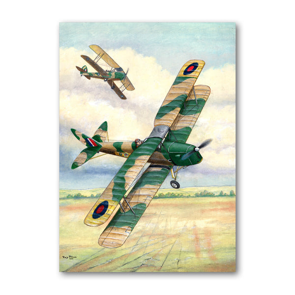 Pack of 5 De Havilland Tiger Moth Biplane Notelets from Dormouse Cards