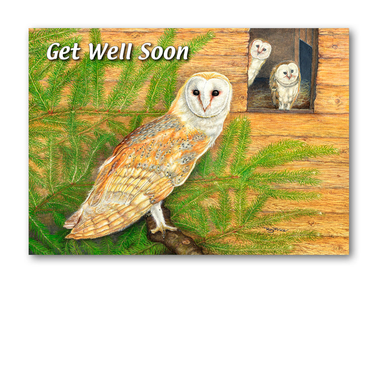 Barn Owl Get Well Soon Card from Dormouse Cards
